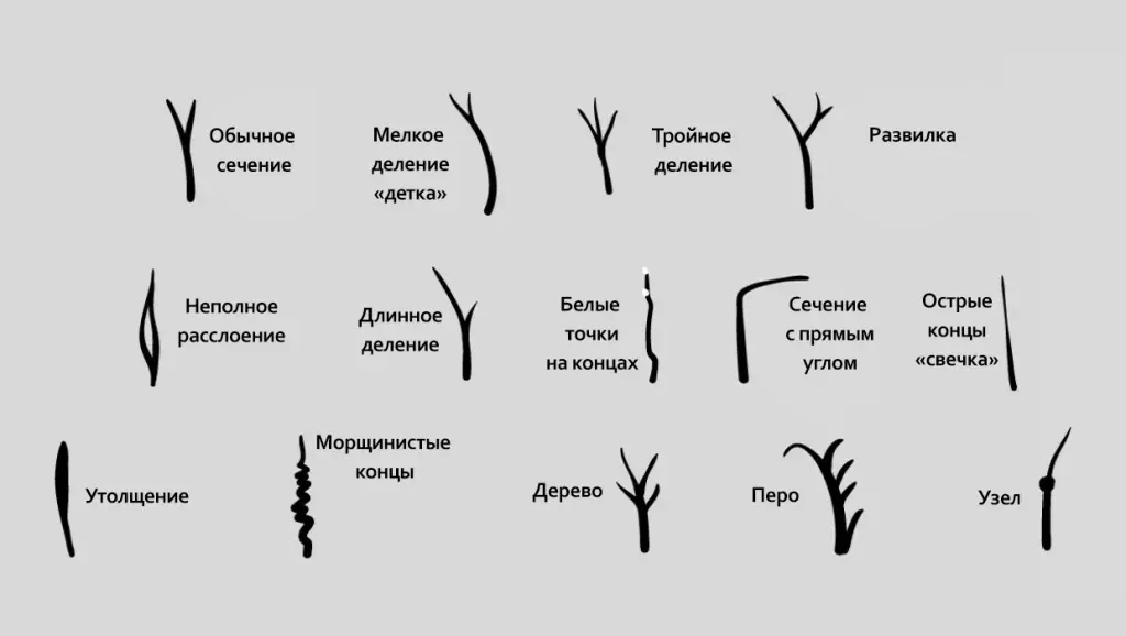 Секущиеся кончики волос: как им предотвратить