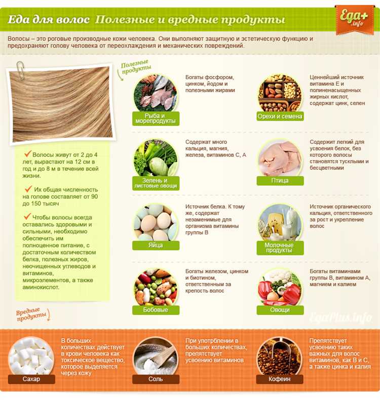 Топ-10 продуктов питания для здоровых волос.
