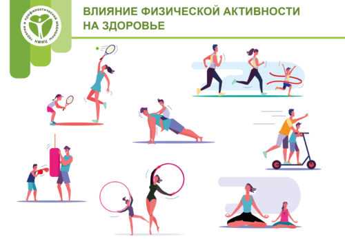 Здоровье волос и физическая активность: связь и влияние
